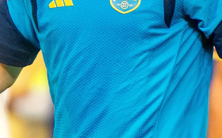 德国球场南看台与黄色人墙实拍(五零加一规则的影响)